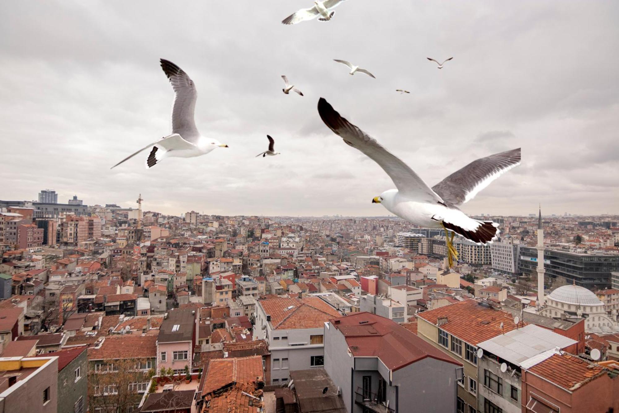 Taksim Roya - Taksim İstanbul